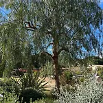 Les Jardins De Santa Giulia - Charmante Chambre D'hote 3* Porto-Vecchio (Corsica)