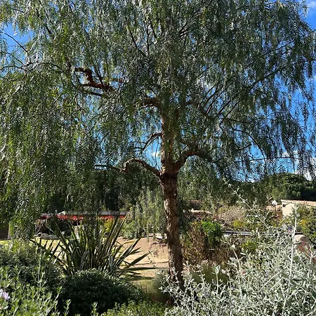 Les Jardins De Santa Giulia - Charmante Chambre D'hote 3* Porto Vecchio