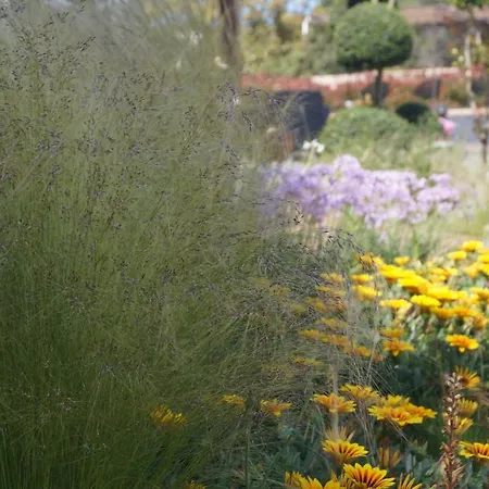 Les Jardins De Santa Giulia - Charmante D'hote Affittacamere Porto Vecchio