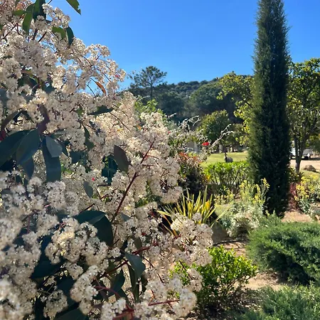 Maison d'hôtes Les Jardins De Santa Giulia - Charmante Chambre D'hôte 2*