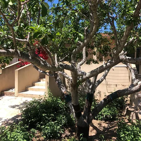 Les Jardins De Santa Giulia - Charmante Chambre D'hôte Maison d'hôtes