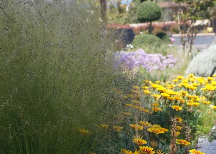 Les Jardins De Santa Giulia - Charmante Chambre D'hote Pensionat Porto-Vecchio (Corsica)