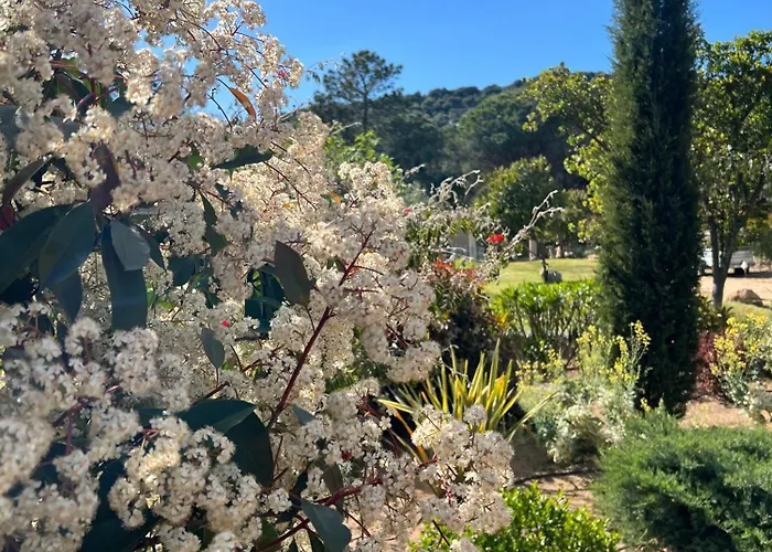 Vendégház Les Jardins De Santa Giulia - Charmante Chambre D'hote 3*