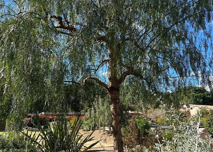 Les Jardins De Santa Giulia - Charmante Chambre D'hote 3* Porto-Vecchio